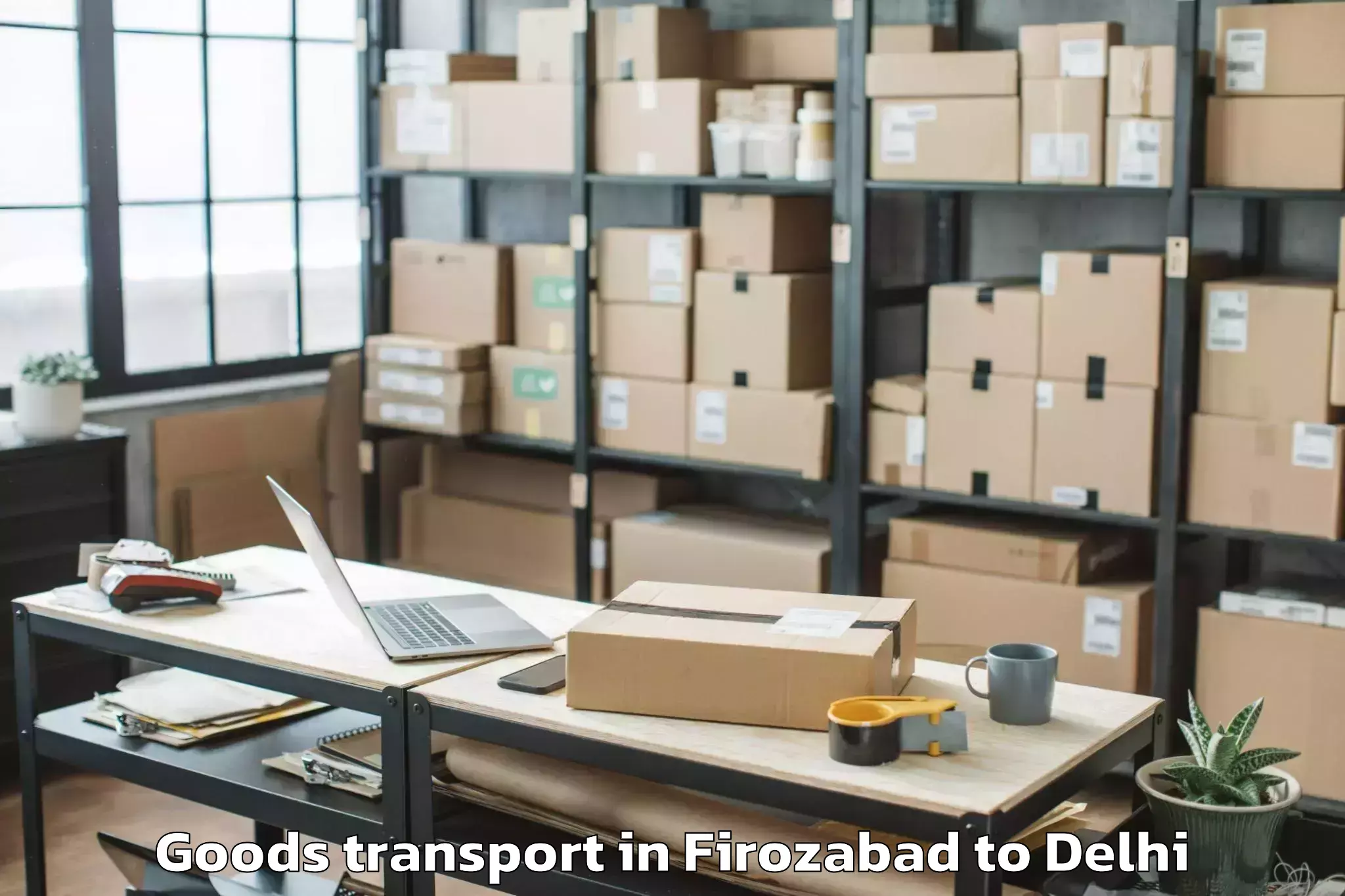 Leading Firozabad to Unity One Mall Cbd Shahdara Goods Transport Provider